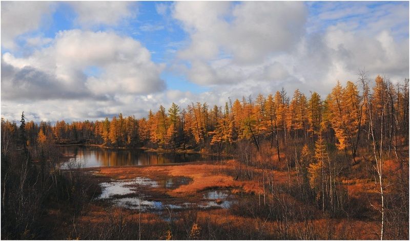 Осенние моментыphoto preview