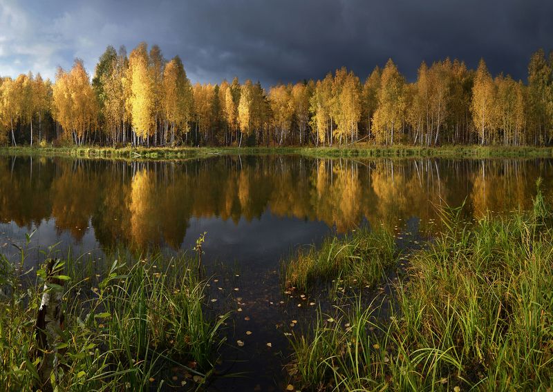 Перед дождёмphoto preview