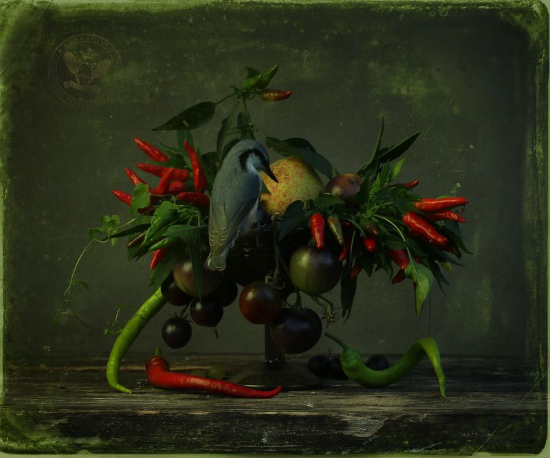 Паслёновоеphoto preview