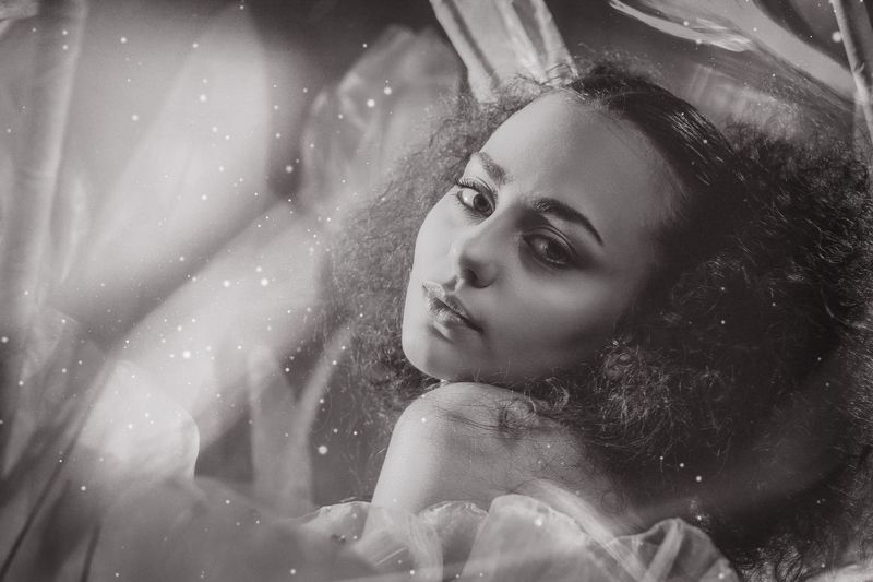 Chasing Echoesphoto preview