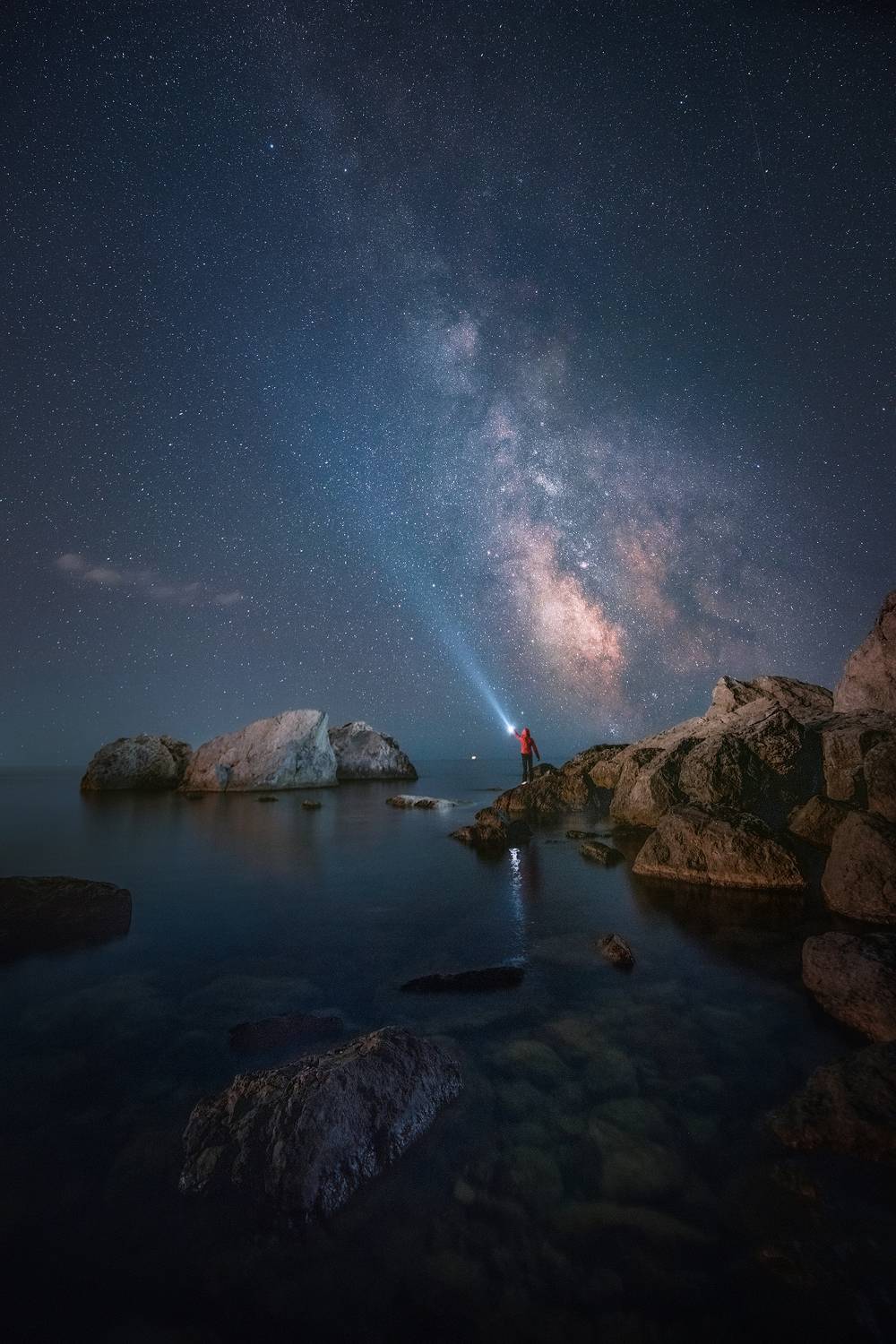 , Елена Ермолина