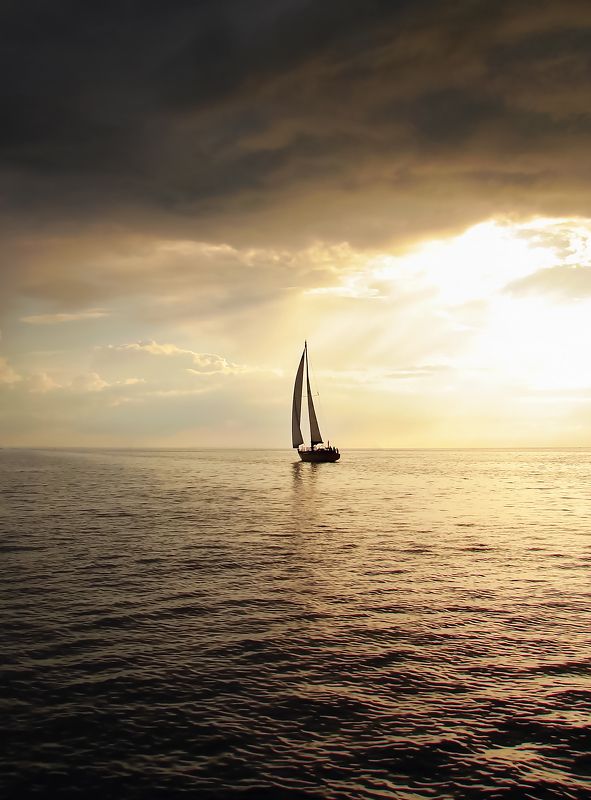 Одинокийphoto preview