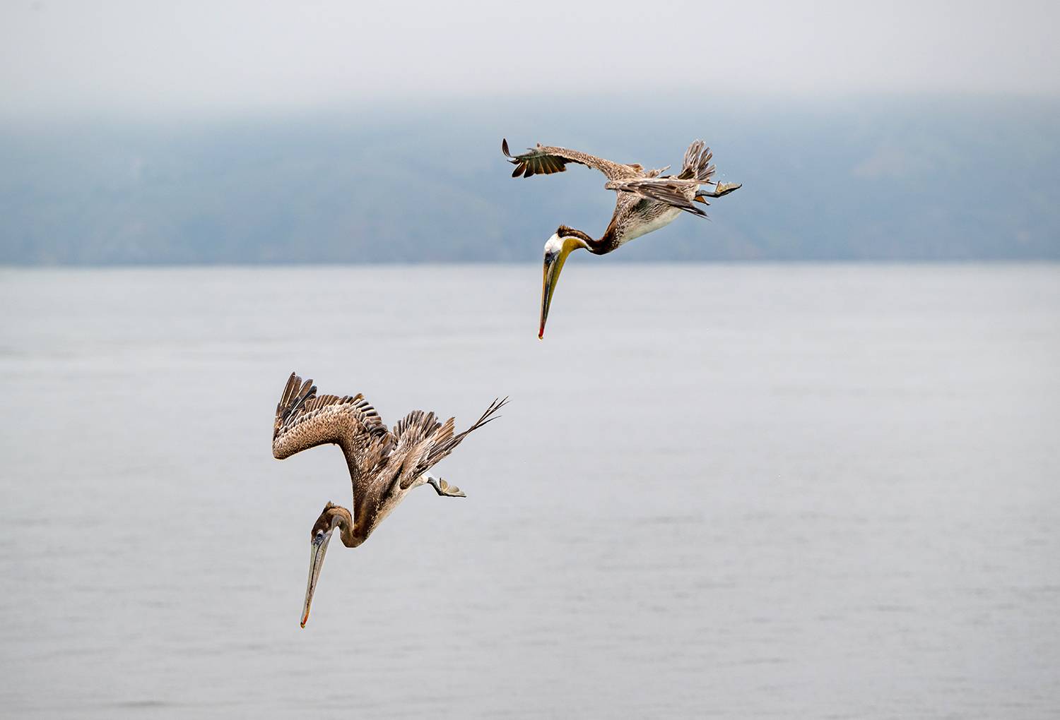 , Кирина Елизавета