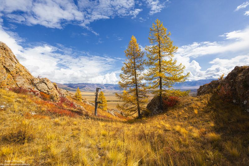 солнце, россия, рассвет, природа, подмосковье, погода, пейзажи, пейзаж, отражение, наукоград, красота, дубна, вода, весна, weather, water, spring, russia, reflection, naukograd, nature, moscow, landscape, dawn, canon, dubna, beauty Муниципальный район Улаганский, Республика Алтай.photo preview