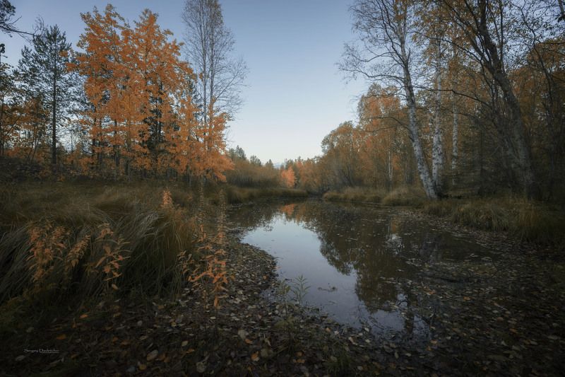 Начало осениphoto preview