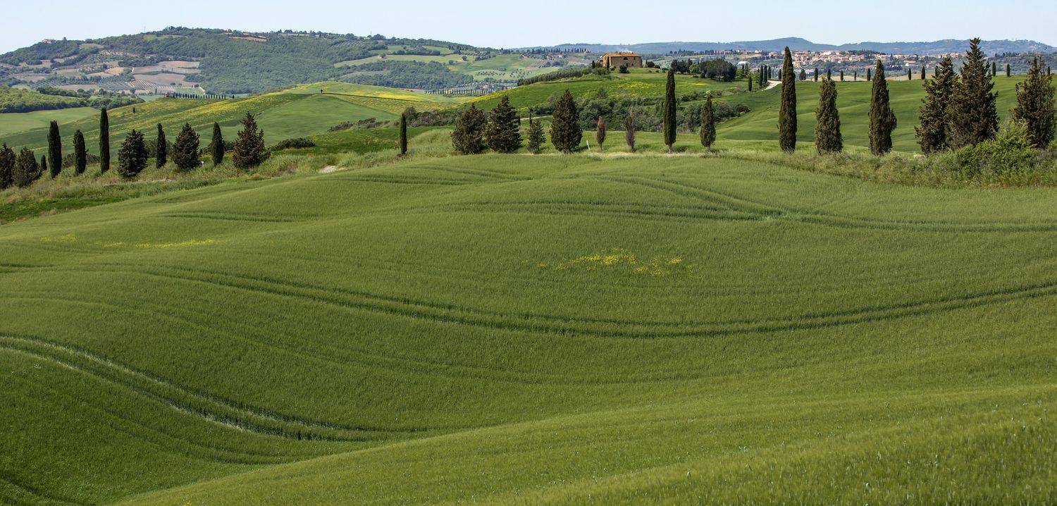 , Валентина Булкина