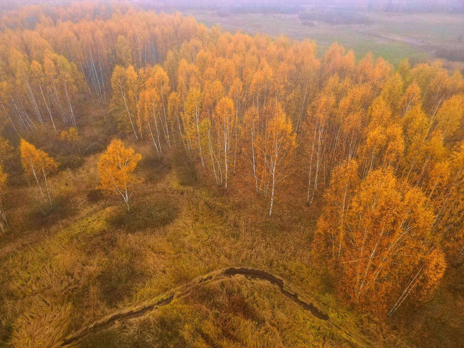 , Аседач Александр