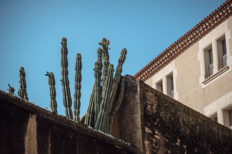 Barcelonaphoto preview