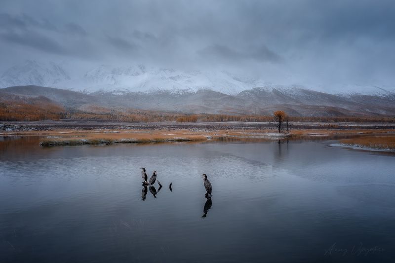 Джангыскольphoto preview