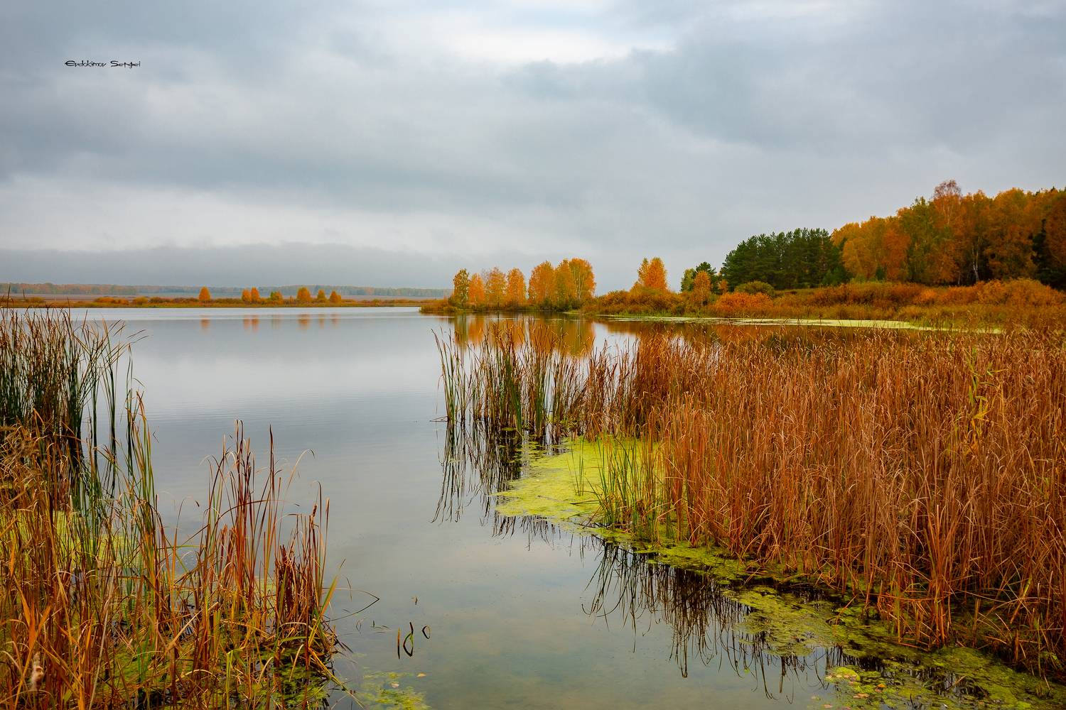 Осень. Автор: Евдокимов Сергей природа южного урала, Евдокимов Сергей
