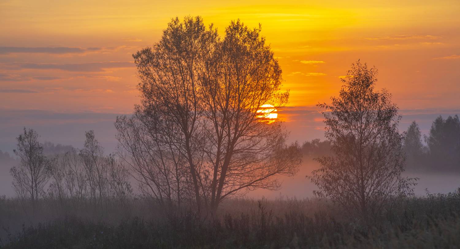 на рассвете )). Автор: Александр Свистков рассвет, Александр Свистков