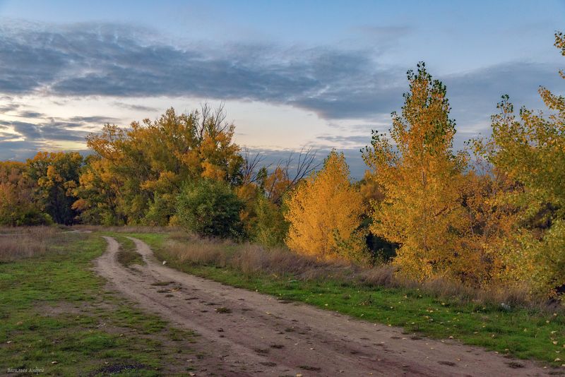 осень, оренбургская область, закат, вечер ***photo preview