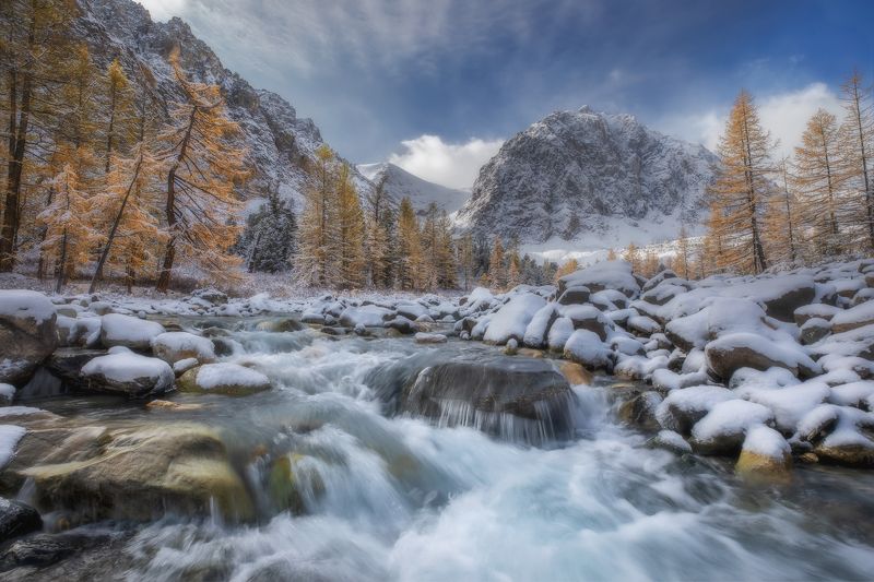 горный алтай, ак-тру, акт-туру, актру, река, снег, лиственницы, сентябрь, караташ Зима в сентябре...photo preview