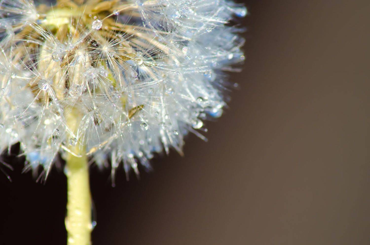 , Савенко Кирилл