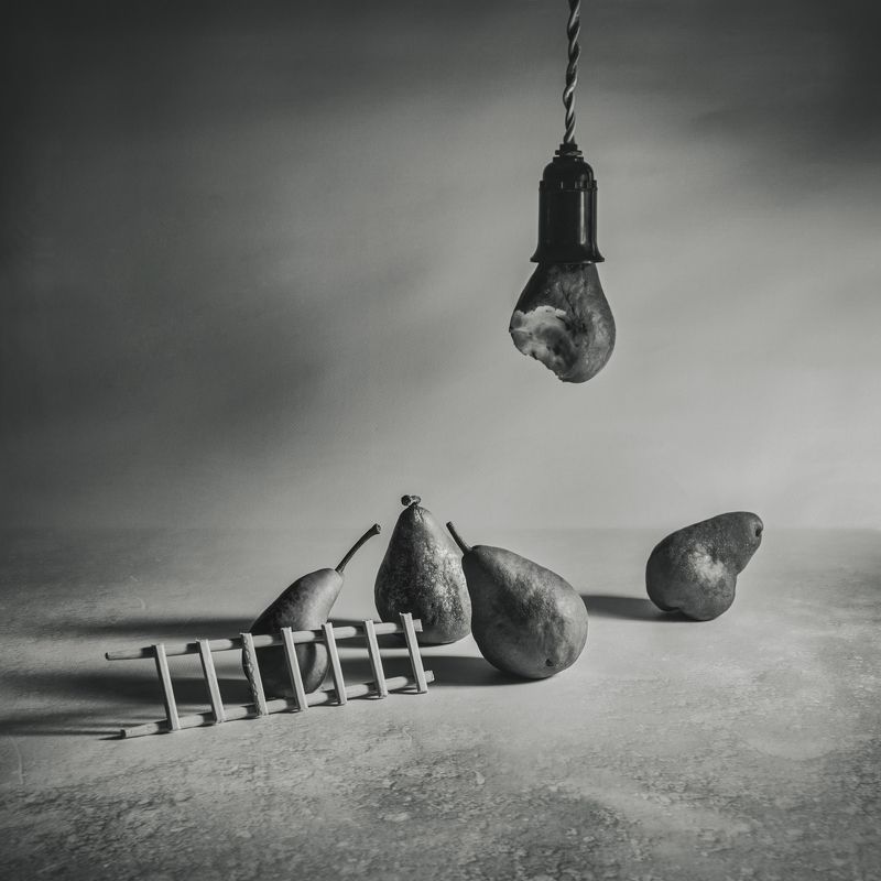 груши,сговор,лестница,тень,свет Кандидатphoto preview