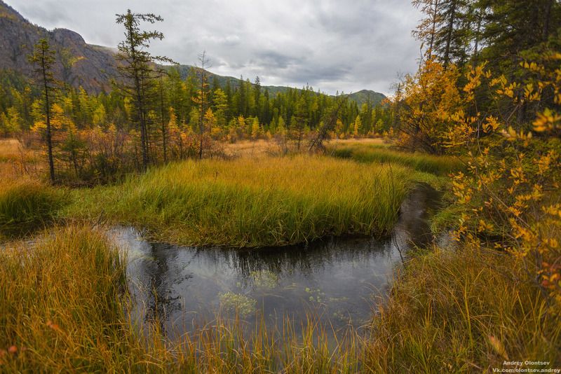 солнце, россия, рассвет, природа, подмосковье, погода, пейзажи, пейзаж, отражение, наукоград, красота, дубна, вода, весна, weather, water, spring, russia, reflection, naukograd, nature, moscow, landscape, dawn, canon, dubna, beauty Гейзеровое озеро, Улаганский район, Республика Алтай.photo preview