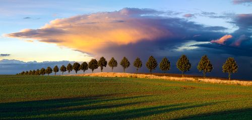 evening rainfall