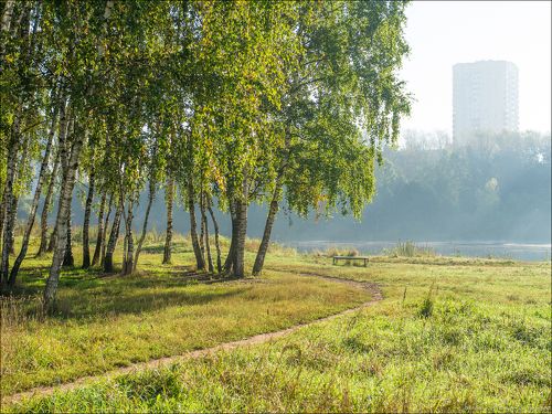 Россия. Балашиха. Ранняя осень.