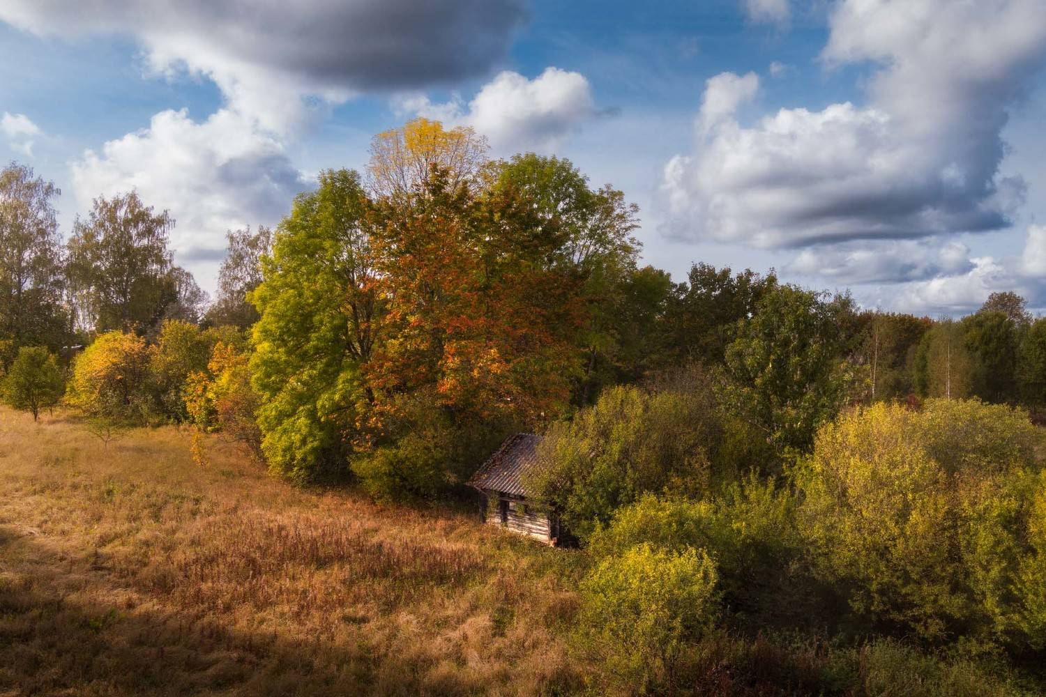 Дом потерянный в глубинах осени. Автор: Cтанислав Малых осень, дом, небо, Cтанислав Малых