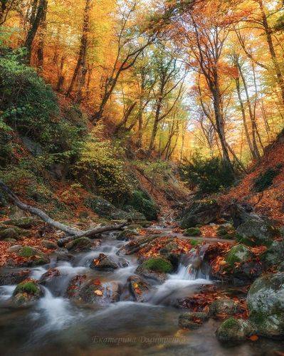 Осень в Хапхальском ущелье