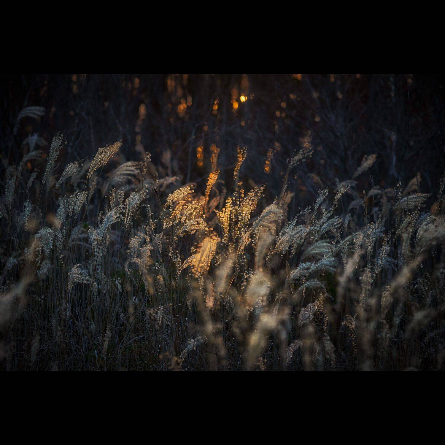 Свет. Автор: Ivan A. Godovikov русский, остров русский, владивосток, осень, приморье, россия, приморский край, море, японское море, закат, кекур, природа, пейзаж, Ivan A. Godovikov