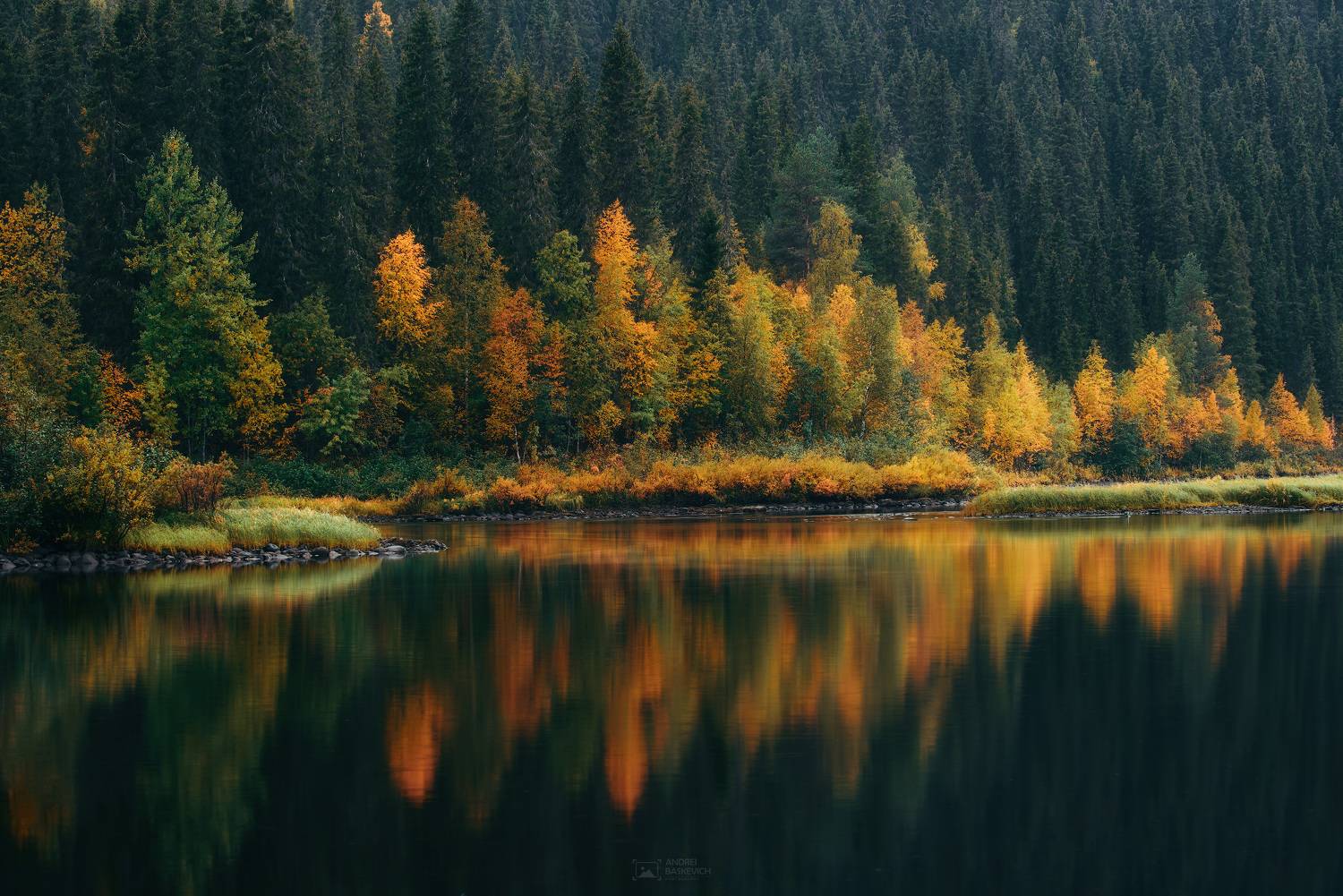 , Андрей Баскевич