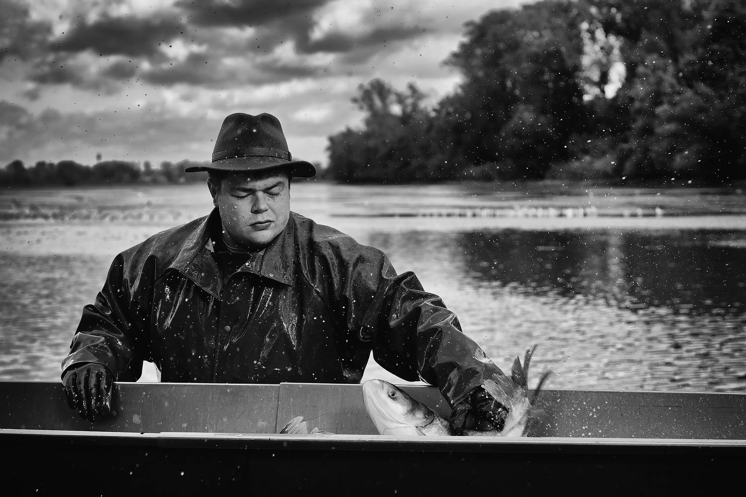 From the catch. Автор: Adamec Robert , Adamec Robert