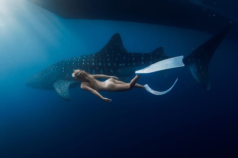 Underwaterphoto preview