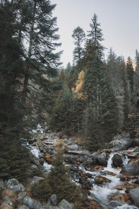 Тебердинский заповедникphoto preview