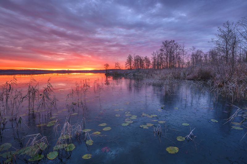 #ввашутиновсегдахорошо 100500photo preview