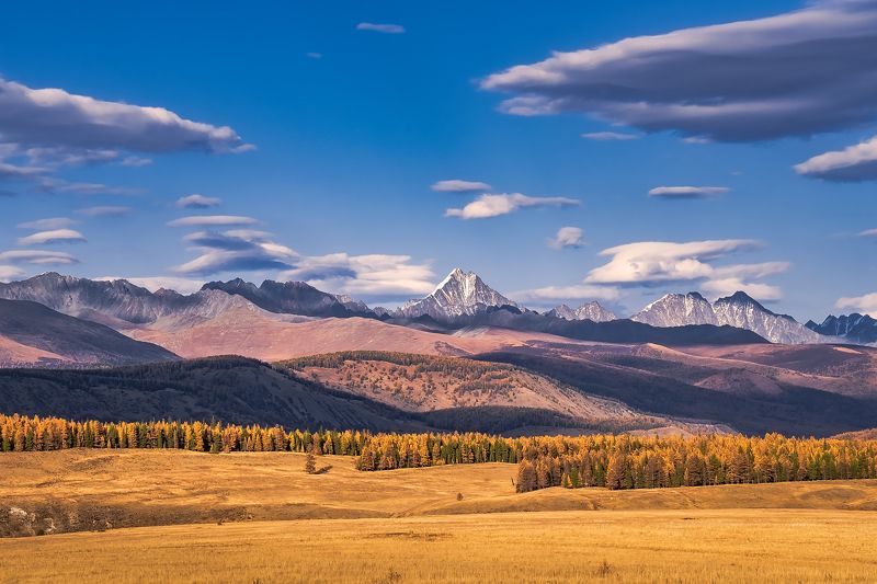 Ииктуphoto preview