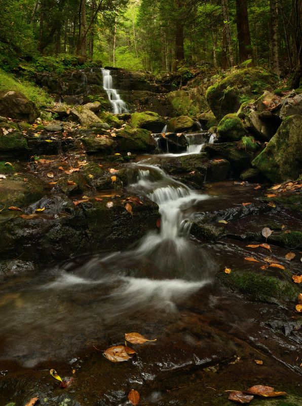 Таёжные зарисовки.photo preview