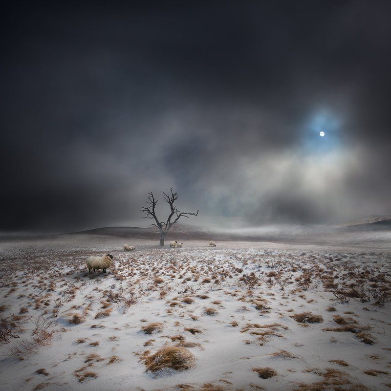 Conceptual, Dark, Landscape, Mood, Mystery Land OF THe Midnight Sunphoto preview