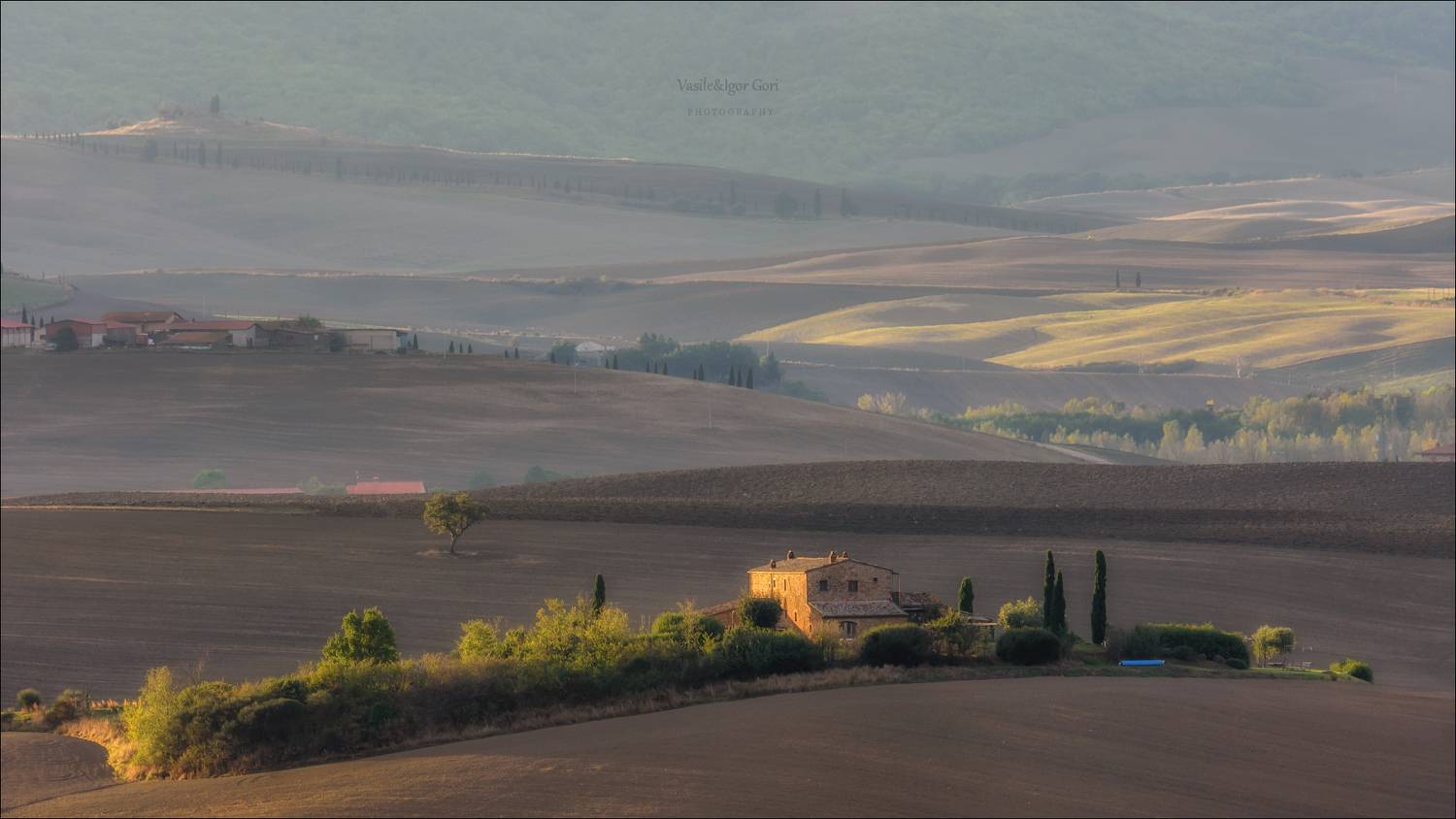 italy,san quirico d \\\' orcia,italia,италия,тоскана,pienza,кипарис,toscana,осень,tuscany,cipressi,belvedere,пьенца,тени, Гори Василий