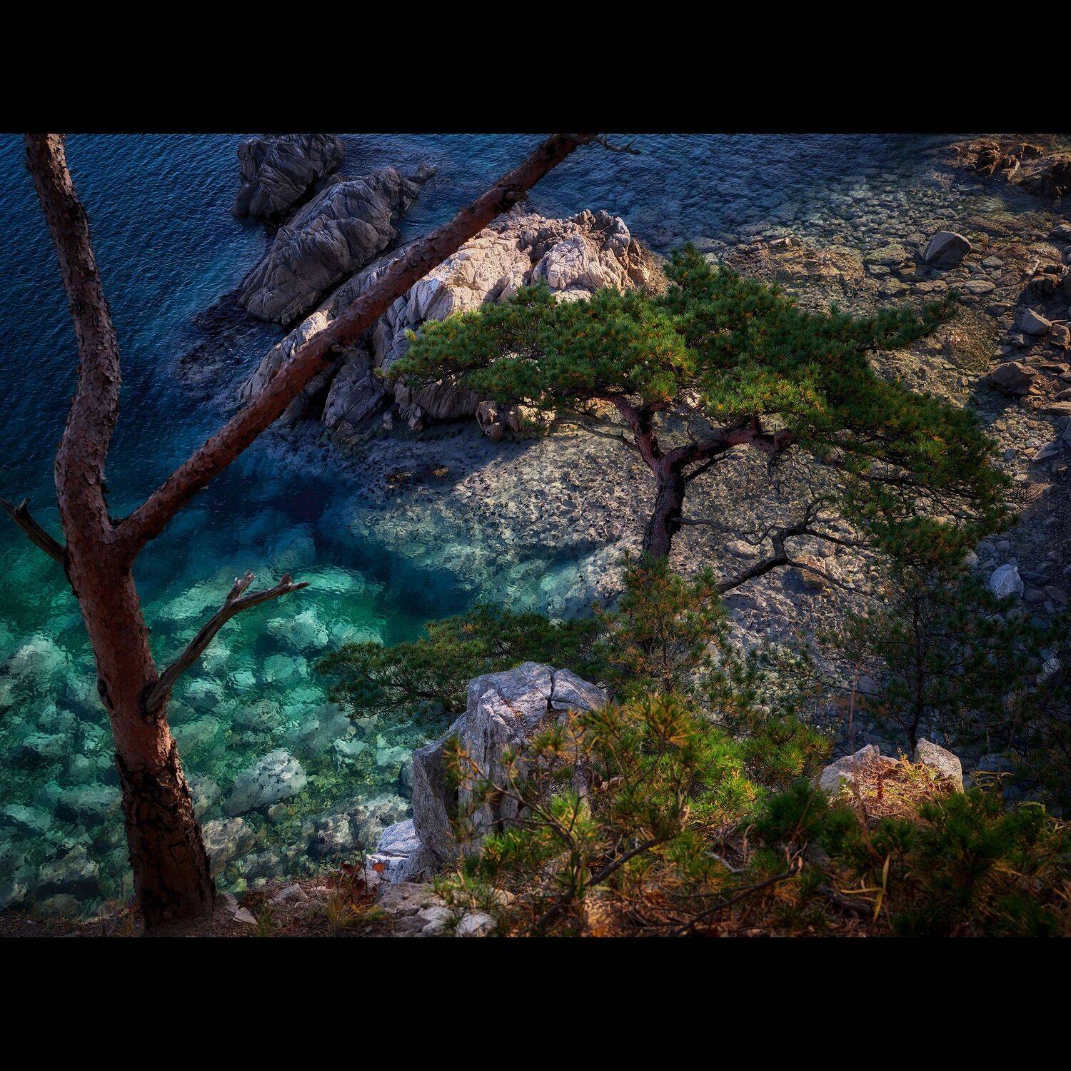 Приморье. Автор: Ivan A. Godovikov сосны, приморье, россия, приморский край, море, японское море, закат, кекур, природа, пейзаж, Ivan A. Godovikov