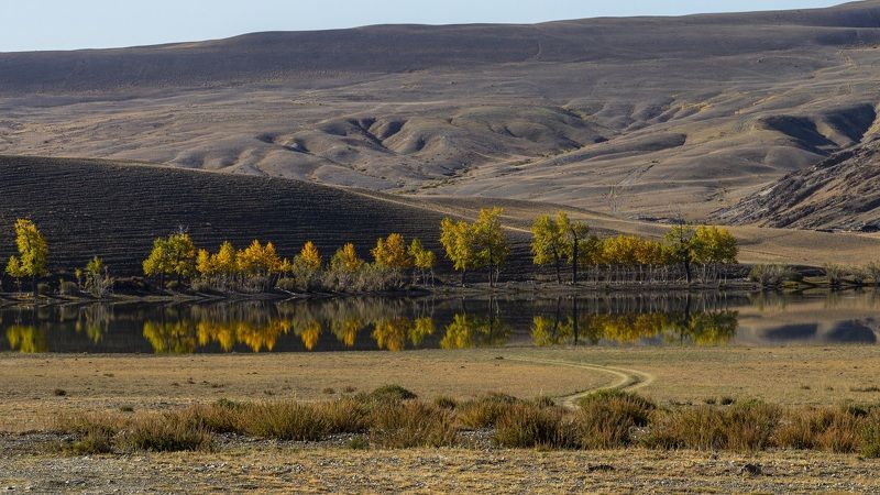 озеро, осень, оазис photo preview