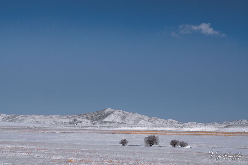 * * * *photo preview