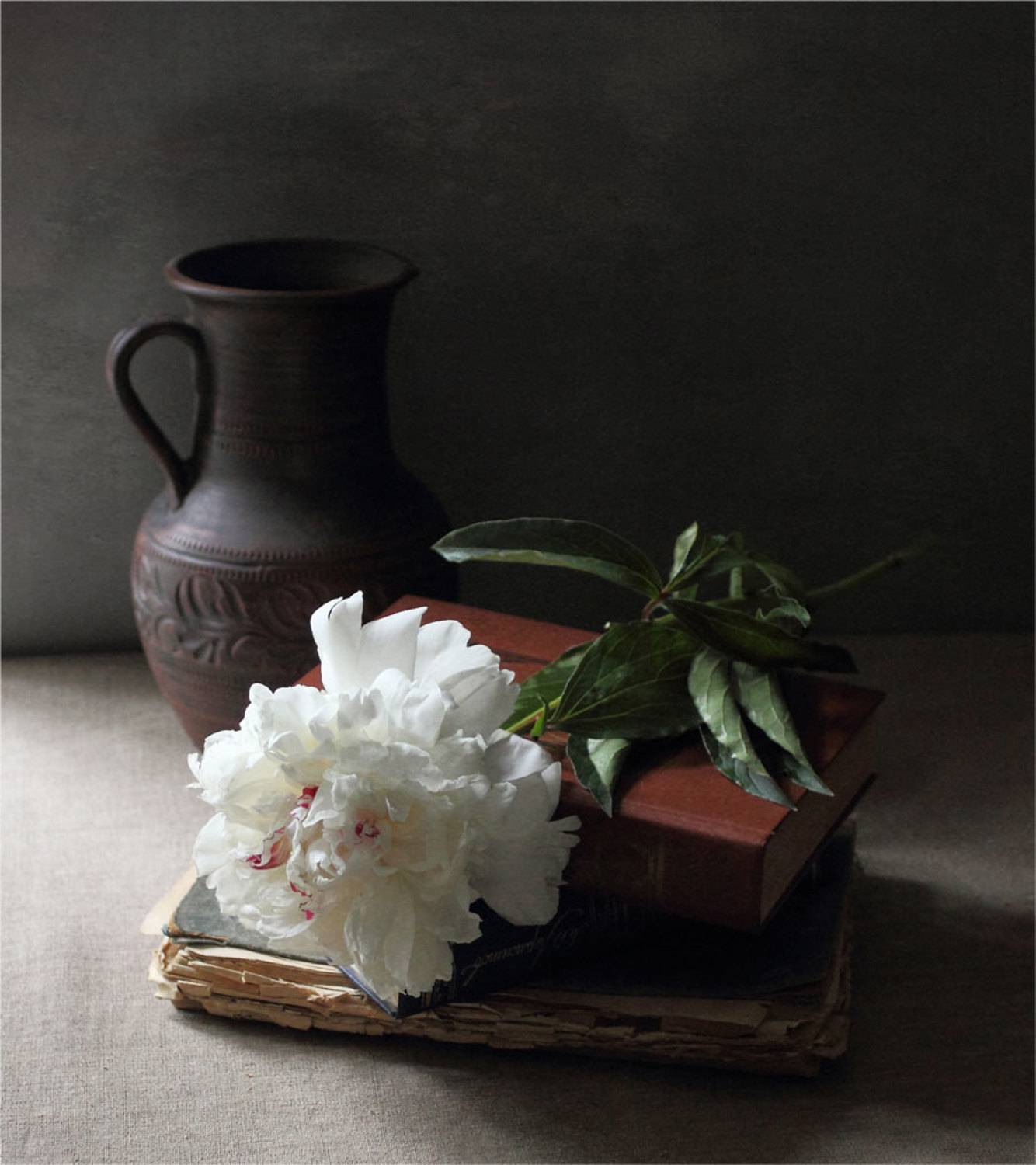 Белый пион. Автор: Илья Берт , Илья Берт