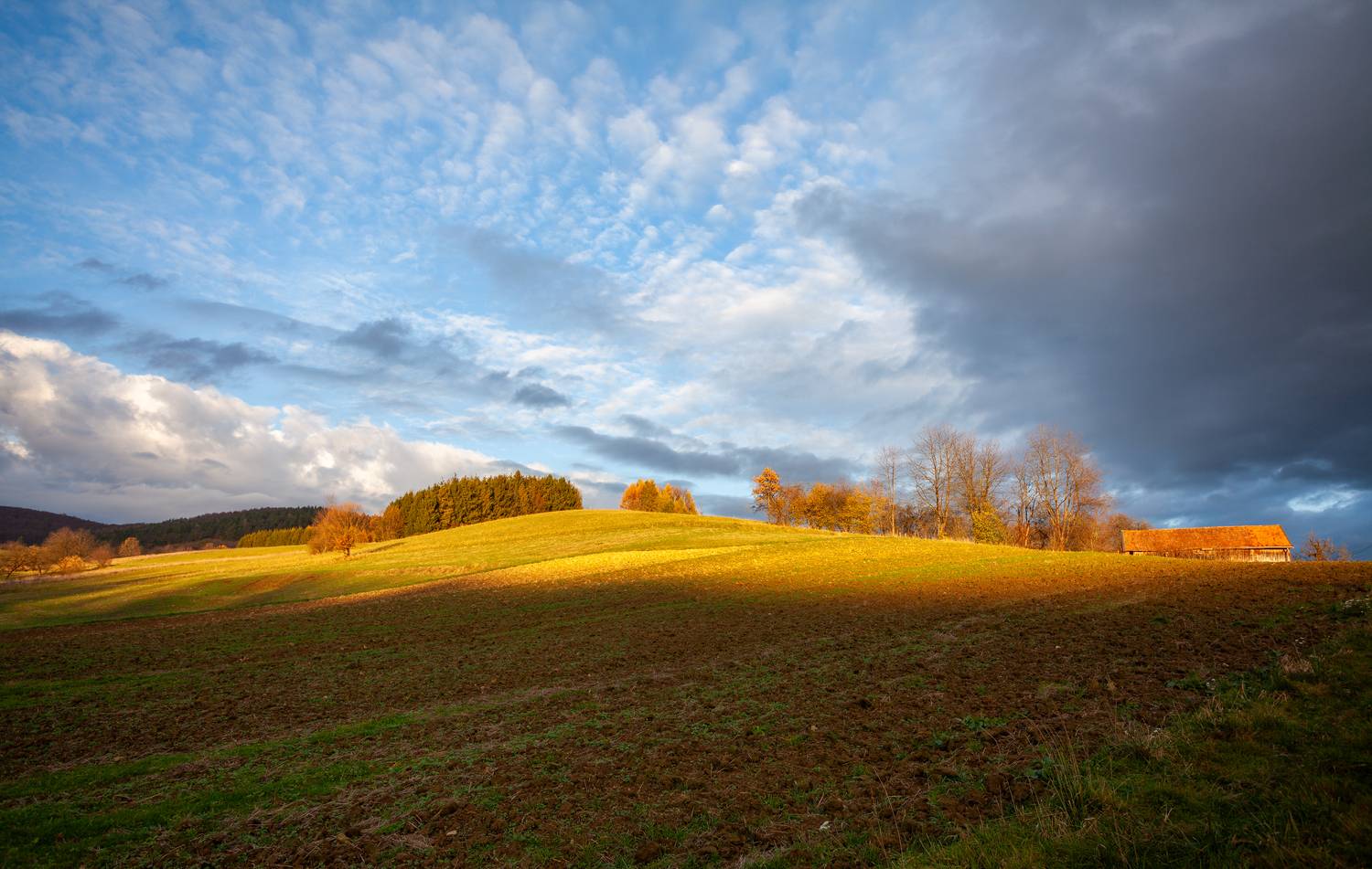 ,  Mirosław Pruchnicki