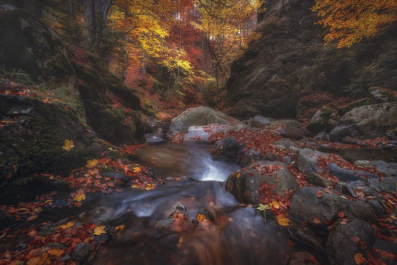 In the autumn shade
