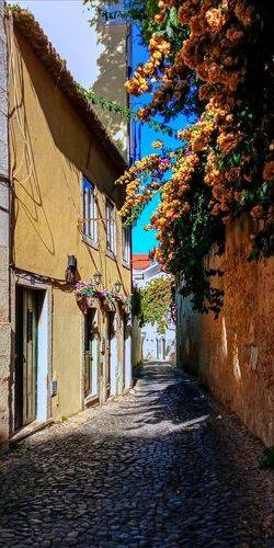 Lisboa
