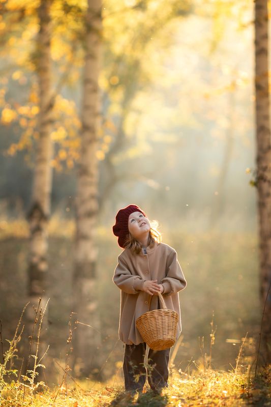 Хрупкое Мгновение осениphoto preview