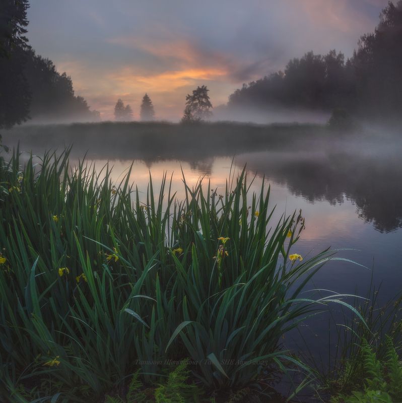 павловск, павловский, павловский парк, пейзаж, царскоесело, царское, landscape, tsarskoyeselo, санкт-петербург, туман Предночное...photo preview