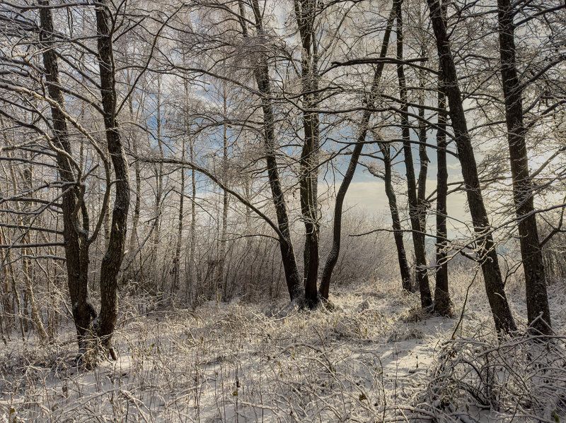 Первый снегphoto preview