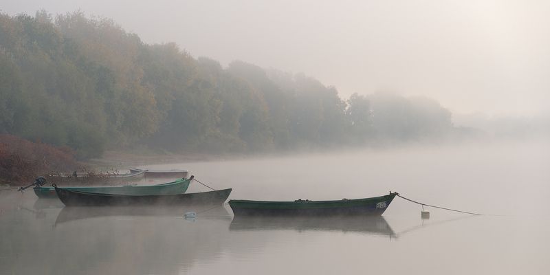 landscape, nature, waterscape, water, fog, foggy, misty, river photo preview