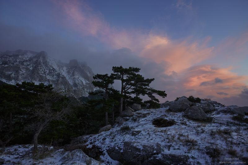 пезажемагьё, пейзаж-как-виденье В Мире пуха Предрассветьяphoto preview