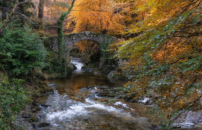 Tollymore Forest Parkphoto preview