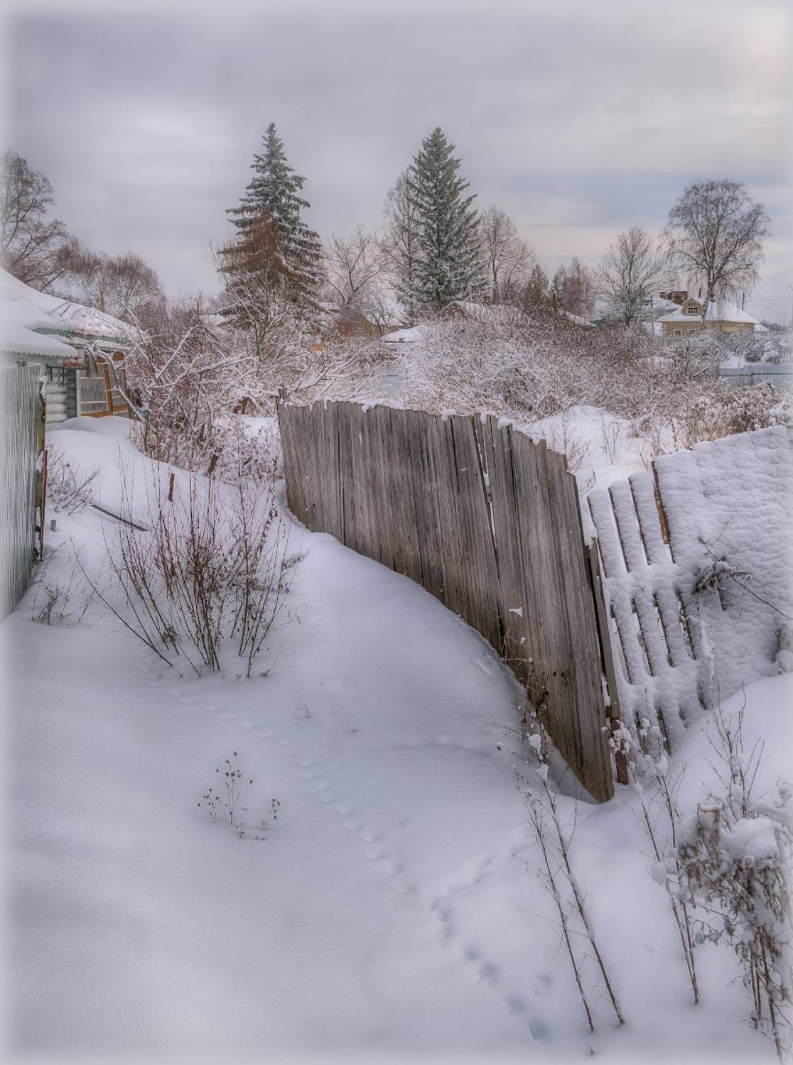 Старый забор, или фрагмент деревенского быта. Автор: Сергей Аникин деревня. зима, снег, иней, фрагмент, Сергей Аникин