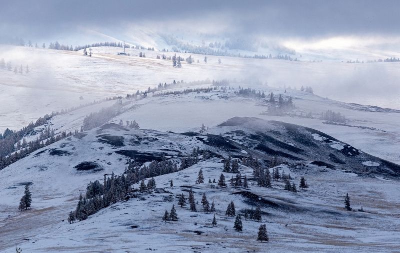 В горахphoto preview