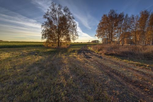 Восход солнца в осенних полях